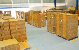 WhatsApp Image 2026-03-27 at 12.09.06 PM